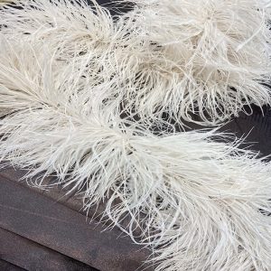 Boah Pluma De Avestruz Dupla Palha | 2161 - Qtd mínima de compra 100cm