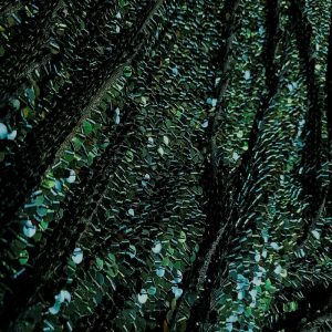Paetê Splendore Verde Folha | 2322
