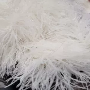 boah plumas de avestruz